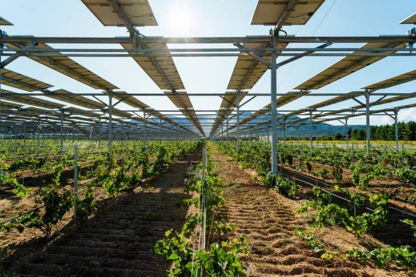 Le projet de Sun'Agri à Piolenc dans le Vaucluse. © Sun'Agri