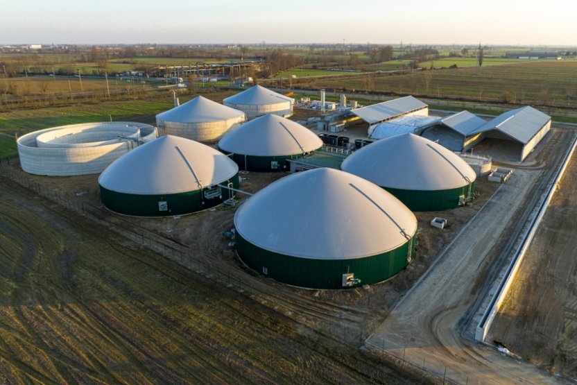 © Verdalia Bioenergy
