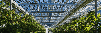 Ce tour de table voit Demeter et Energie 360° rentrer au capital d'Insolight. ©Insolight