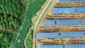 WindLight va alimenter plus de 370 000 foyers polonais. ©Eiffel Investment Group